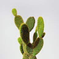 tieyamustafa
