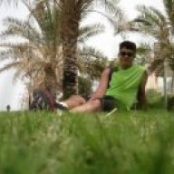 shervin
