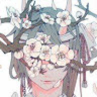Ivy.Araluen