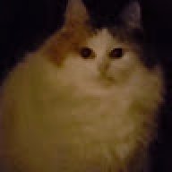 Meow676
