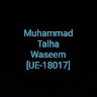 TALHA4106973