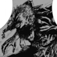 vevorzz
