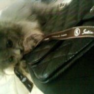 Buster