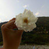 maria khalid