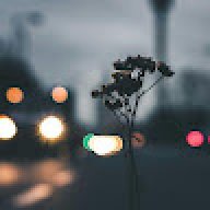 brutalbones08