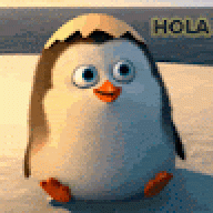 Rodrigp