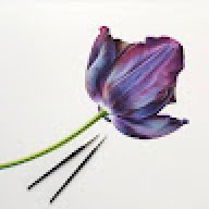 asdwer