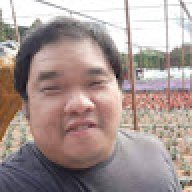 danielngct87