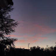 Gamberetto