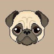 Pug_1304