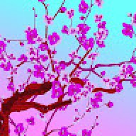 OkapiX