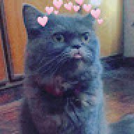 Aneeqa_math_wizard