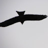 kashii