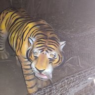 Mrigaksh Dubey
