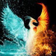 phoenix264