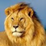 lionhat
