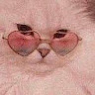 Luisa Graceffa
