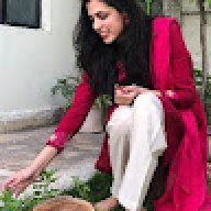 nadia arif