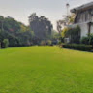 shafafa