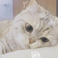 zzmzzzzm