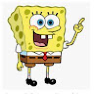 Sponge b o b