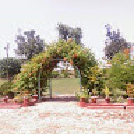 jahenzeb