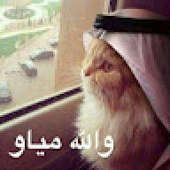 MustafaAlz