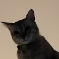 Schmuels