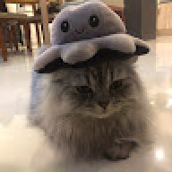 Meowqie