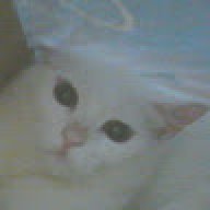 MRCATMAN4