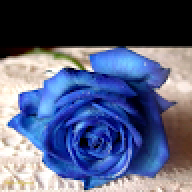 Jey080415