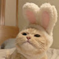 Hanishere