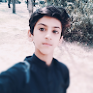 Sodais sajid