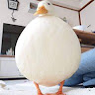 existential.duck