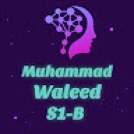 waleed12345678910