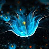 aunn5x