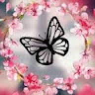 Noor__Fatima