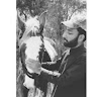 Sardar Ali