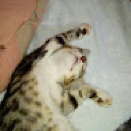 smbdooo