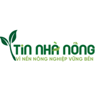 tinnhanong