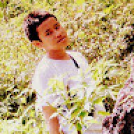 daus0088