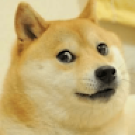 a posh dog