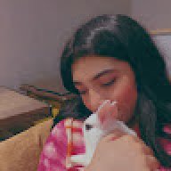 Eman Amir