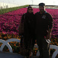 Kalsoomsaleem