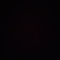 waniaamasood1