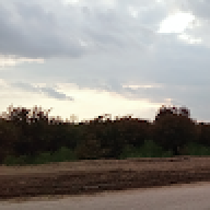 Xain_Rana17