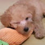 beomjun
