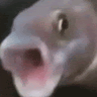 hmmmmmm123