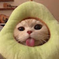 ayaaaaaaaa