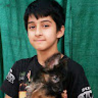 areez ali